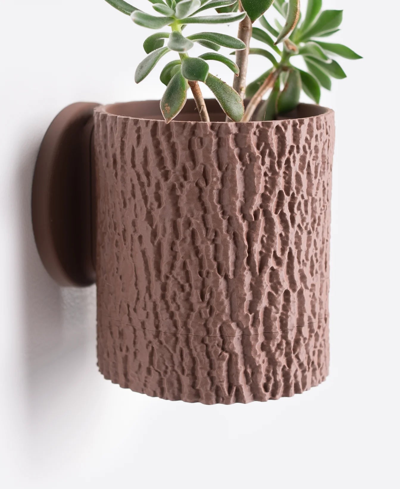 Wall Planter - Tree Bark