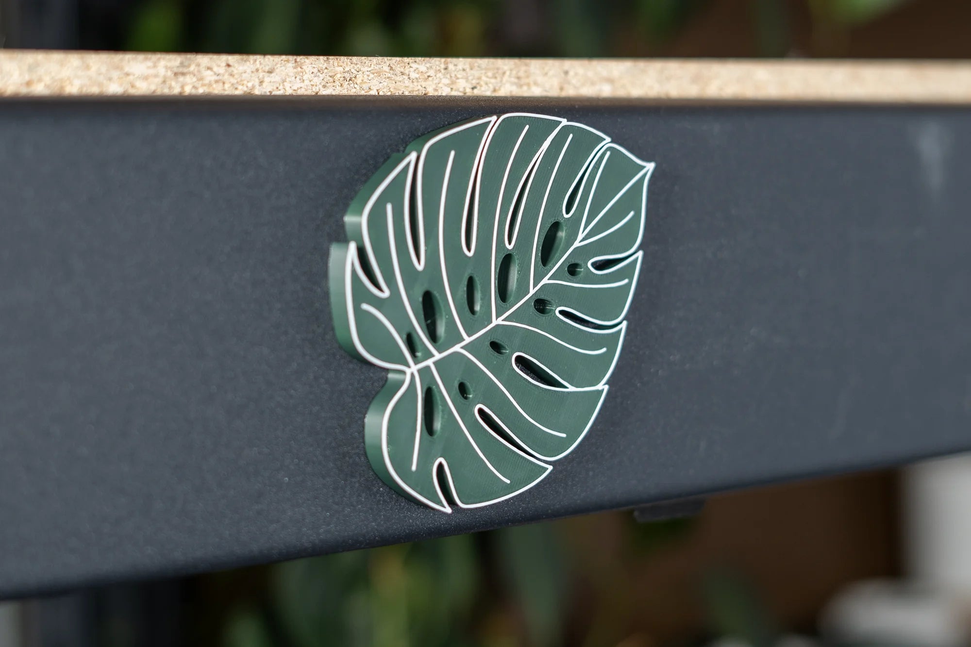 Monstera Leaf Magnets