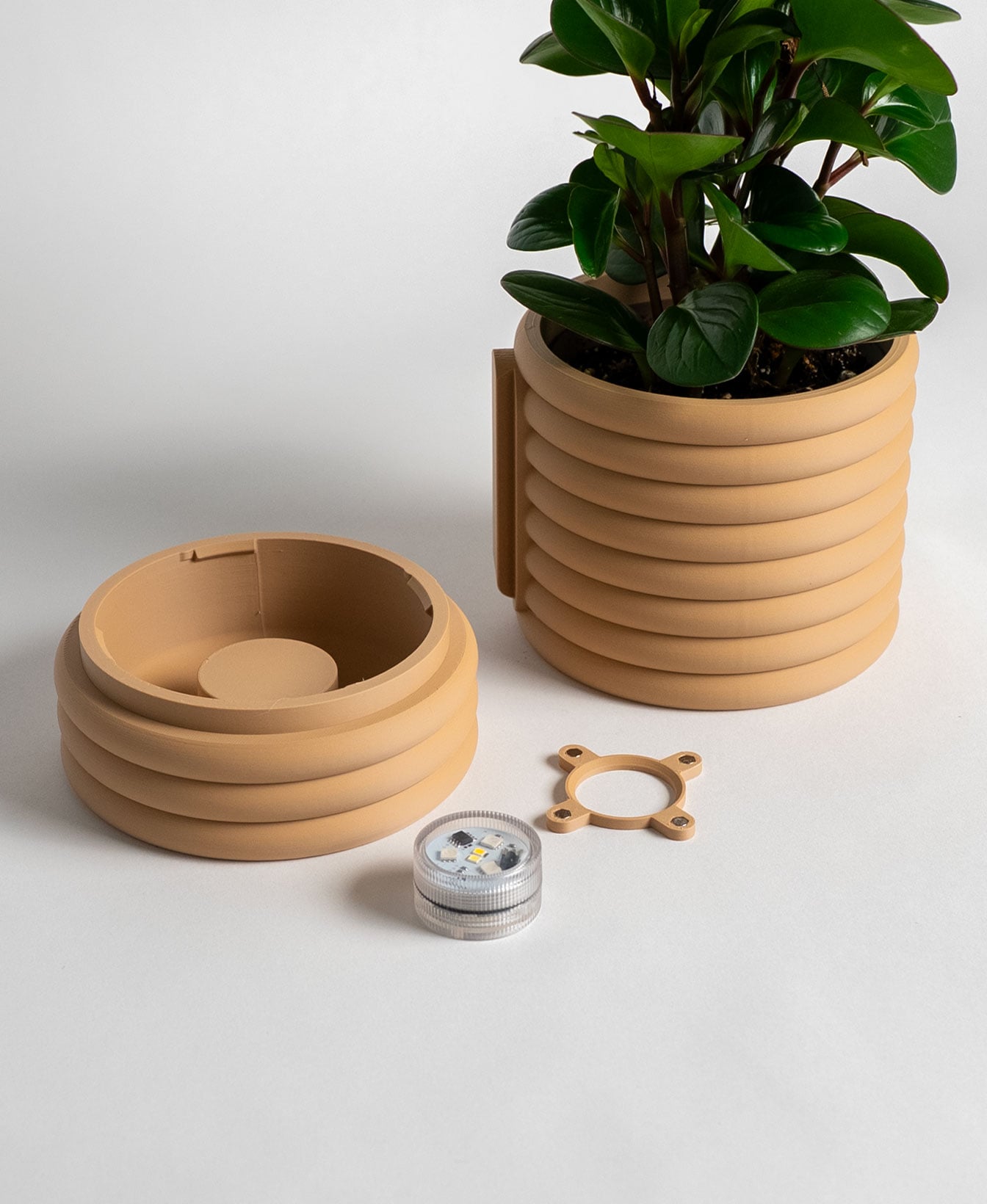 Wall Light Planter - The Poppy