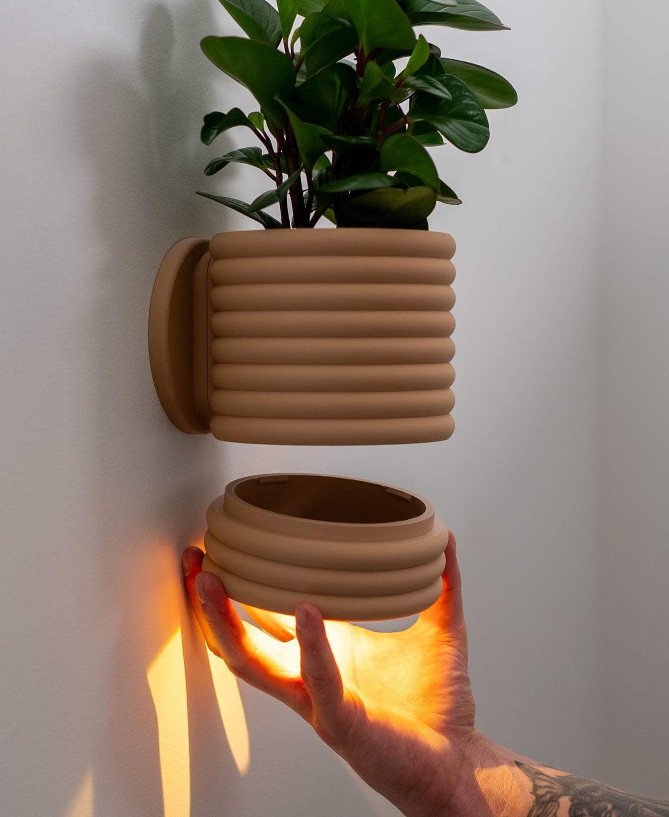Wall Light Planter - The Poppy