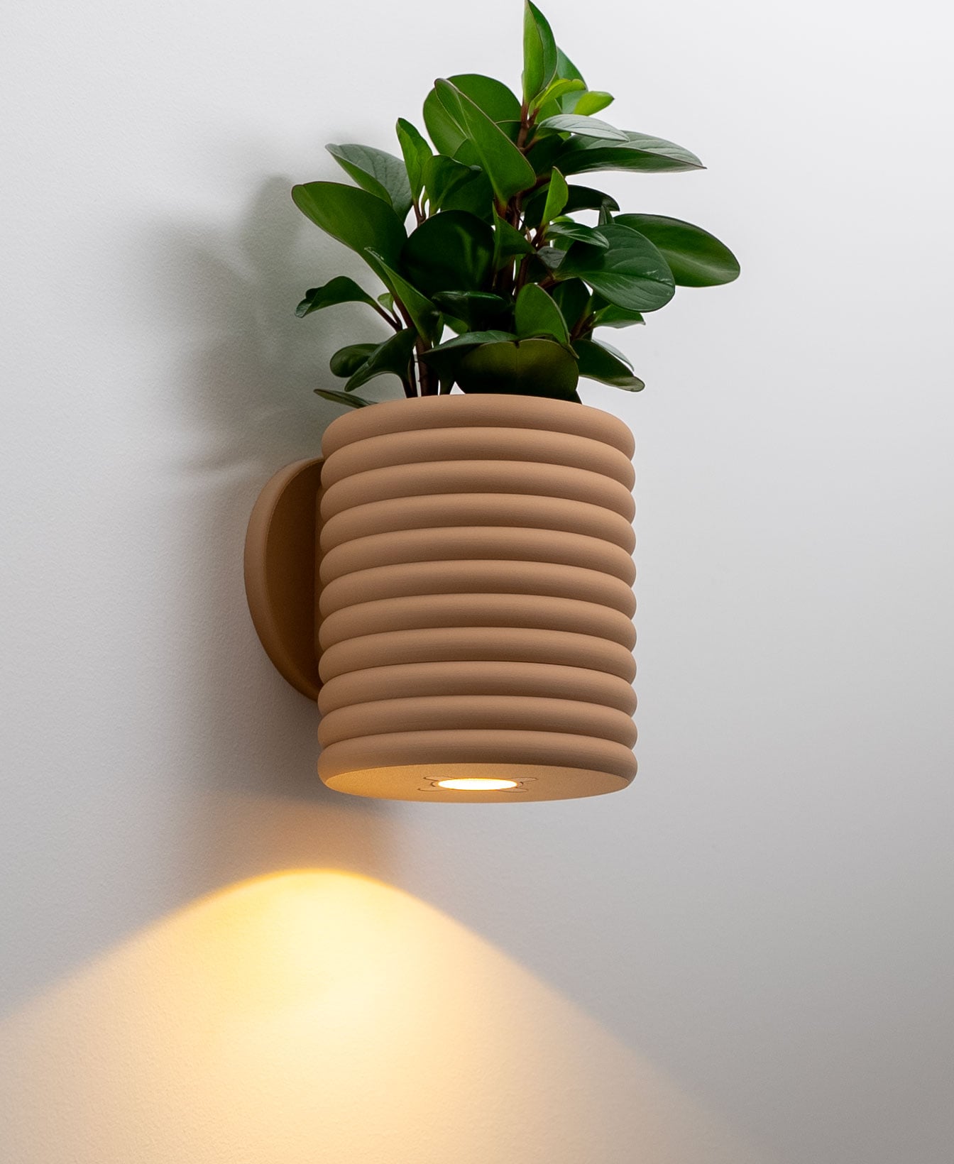 Wall Light Planter - The Poppy